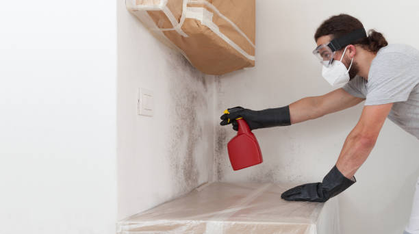 Professional Basement Mold Remediation technician working in Bunn, NC