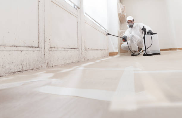 24/7 Emergency Basement Mold Remediation experts in Bunn, NC